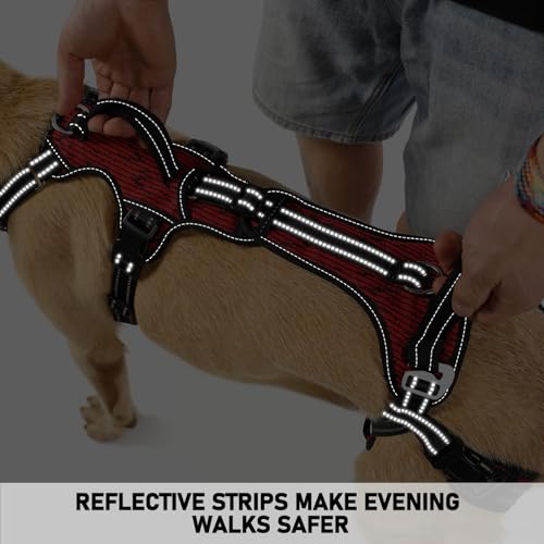 Mobility Dog Lift Harness (Red / XXL)