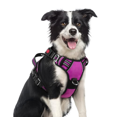 Dog Harness Medium Sized (Purple / Medium)