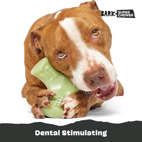 Chopper Super Chewer (Medium/Large / Chopper)