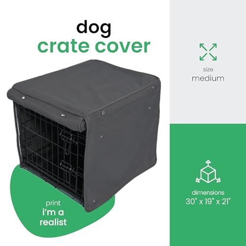 Dark Gray Dog Crate Cover (I'm a Realist / 30.0"L x 19.0"W x 21.0"H)