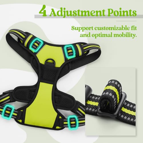 Dog Harness No Pull for Small Dogs with 2 Leash Clips (Small / Wild Lime)