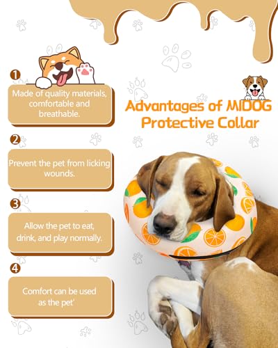 Inflatable Dog Cone (Tangerine / XL(21"-24"))