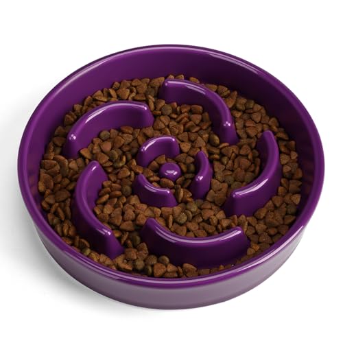 Ceramic Slow Feeder Dog Bowl (Flower - Deep purple / 2 Cups)