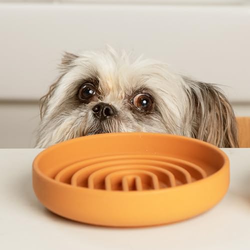 Slow Feeder Dog Bowl (Terracotta / Small (6” Across x 1.25” Tall))