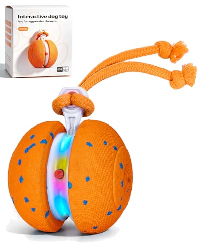Interactive Dog Toy (Orange)