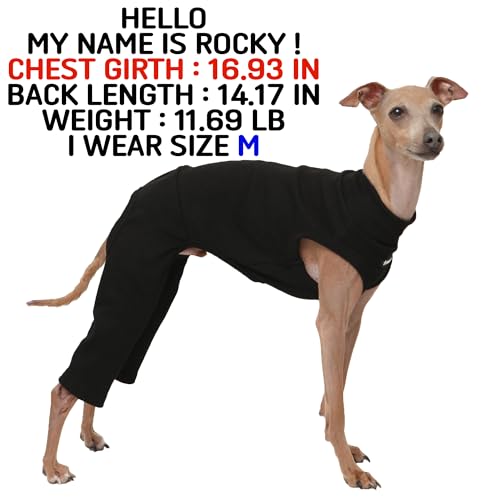 D Doggy Star Italian Greyhound Clothes High (XL / COORDI BLACK)