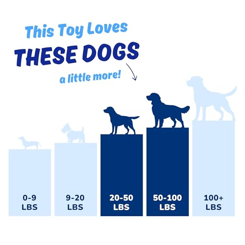 Dog Toy for Aggressive Chewers (Blue)