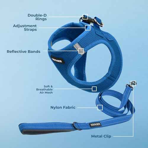Voyager Step in Air All Weather Mesh Harness and Reflective Dog 5ft Leash Combo with Neoprene Handle (Royal Blue / L (Chest: 18 - 20.5"))
