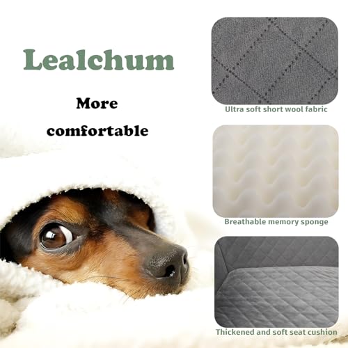 Dog Car Seat Up to 55lb (Black/Grey / Large)