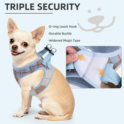 Dog Harness Collar and Leash Set No Pull for Small Medium Sized (Light Blue / M (CHEST 16"-18"))
