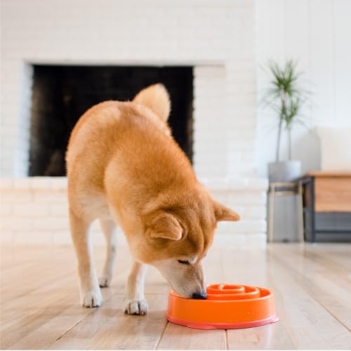 Fun Feeder Slo Bowl (Orange / Medium)