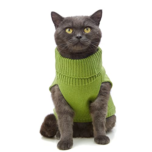 Cat Sweater Stretchy (Green / Large)