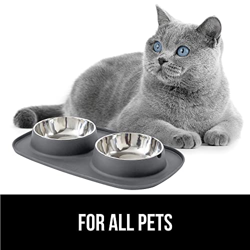 Dog Bowl Set with Feeding Mat (Gray / 2 Cup Bowls)