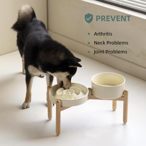 Elevated Slow Feeder Dog Bowls (Light Yellow)