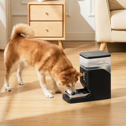 2.1 Gallon Gravity Dog Water Dispenser with Stainless Steel Bowl (Grey / 8L)