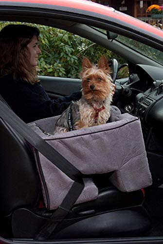 Lookout Booster Car Seat (Charcoal / Large - 22 inches)