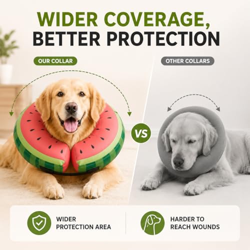 Inflatable Dog Cone After Surgery (Watermelon / M(12"-15"))