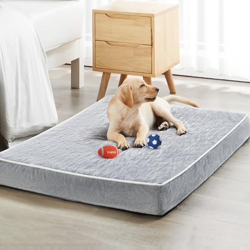 Orthopedic Waterproof Large Dog Bed for Crate Cozy Sleep (Light Grey / 35"L x 22"W x 3"Th)