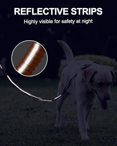 Tactical Bungee Dog Leash (Orange)