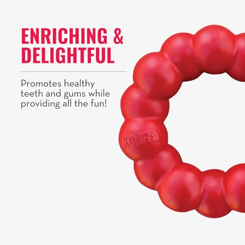 Ring Natural Rubber Chew Toy for Dental Health (Small (Pack of 1))