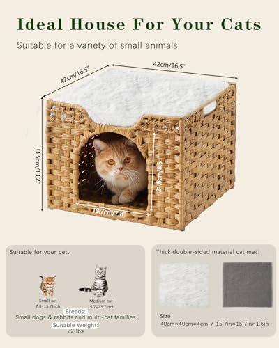 Cat Beds Indoor Kitten House (Natural / Rectangle-M)