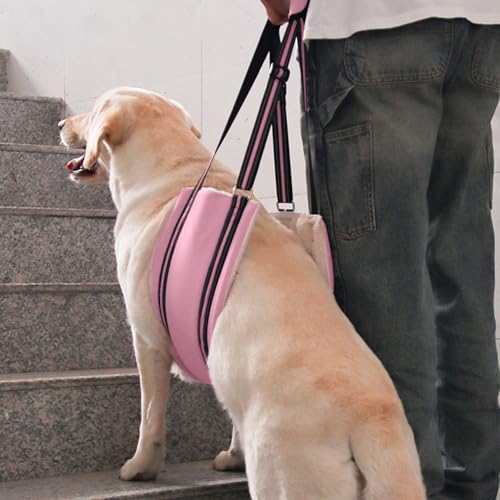 Adjustable Dog Sling Dog Lift Harness Hind Leg Support (Pink / M)