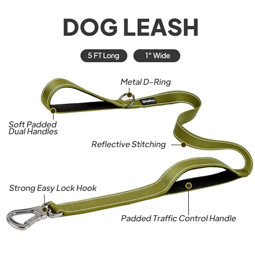 5FT Heavy Duty Dog Leash with Soft Padded Double Handle (5 FT x 1 in Wide / Green)