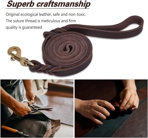 Leather Dog Leash (4 ft x 3/4 inch / Brown)