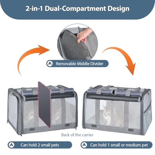 Cat Carrier for 2 Cats