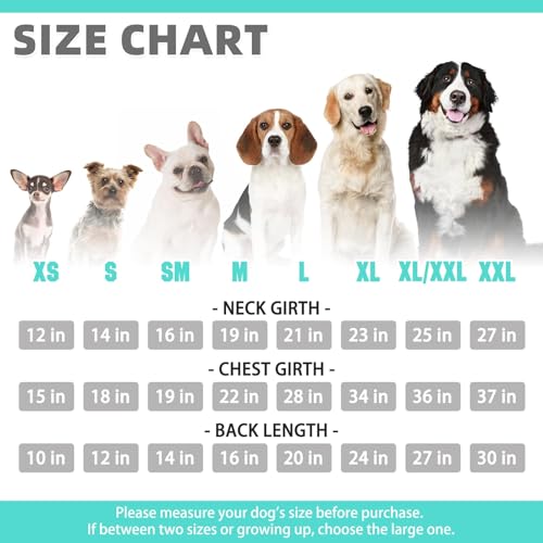 Dog Hoodie for Large Medium Small Dogs (Lake Blue / X-Large/XX-Large)