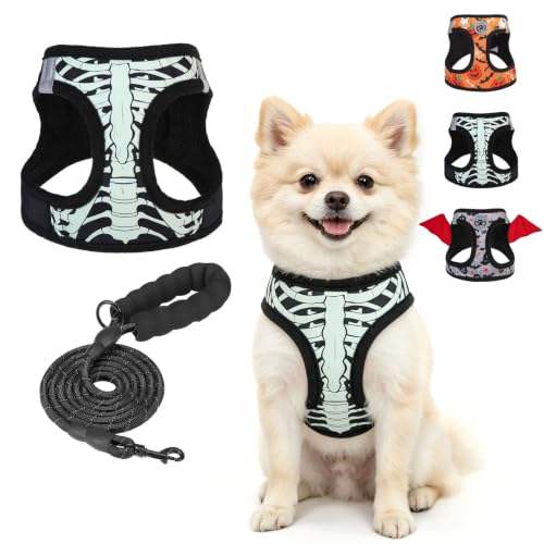 Halloween Dog Harness Medium Sized and Leash Set (Small(Chest Girth 14.5" - 16") / Halloween Black)