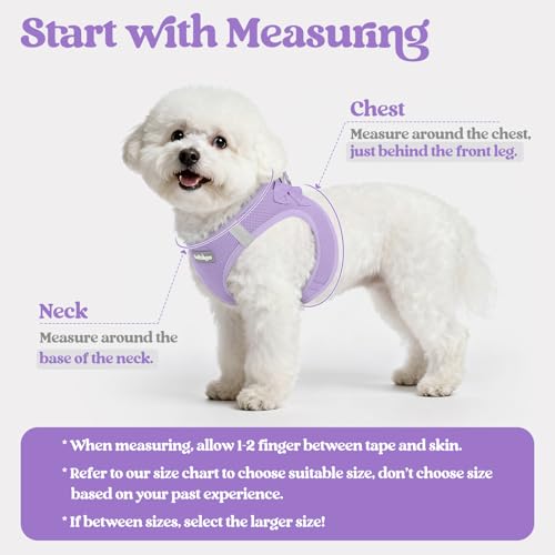 Dog Harness Medium Sized and Leash Set (Light Purple / Xxl (chest: 21.6 - 23.7"))