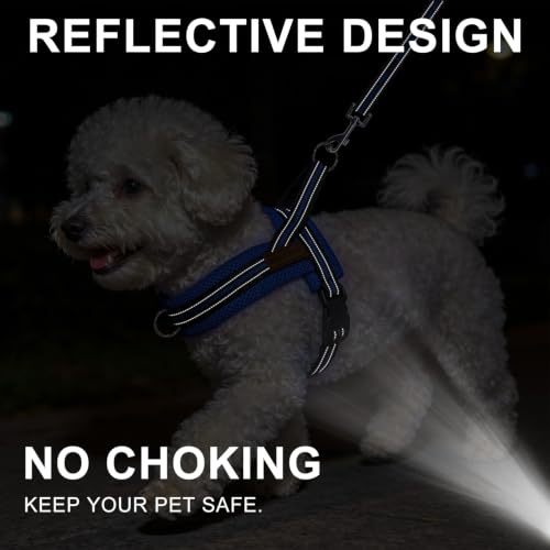 Small Dog Harness and Leash Set (Dark Blue / XS: Chest 15"-18")