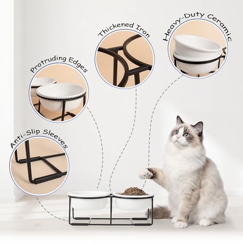 Ceramic Elevated Dog Bowl Set (Matte White / S × 2)