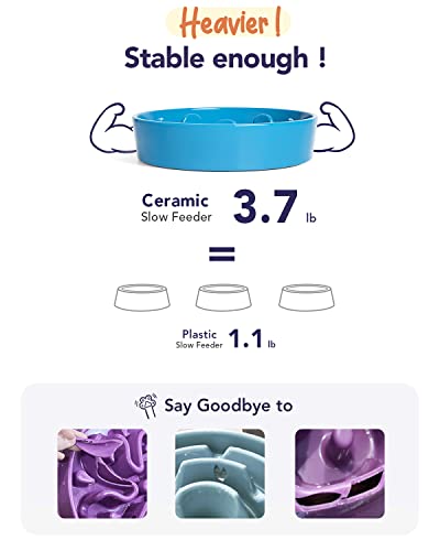 Slow Feeder Dog Bowls Ceramic (Vortex Blue / L-3 Cups)