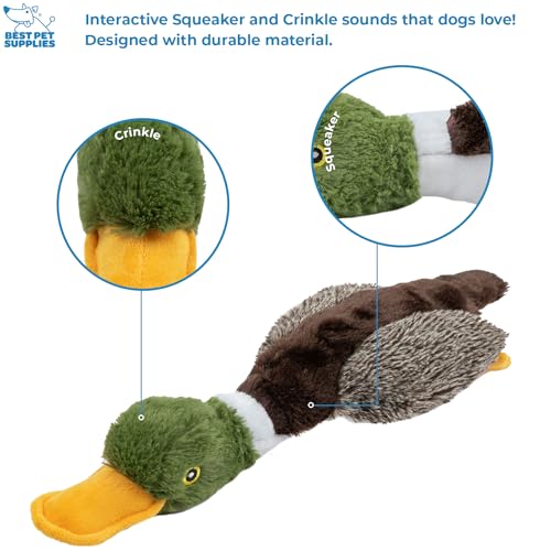 Interactive Squeaky Dog Chew Toy (Duck (Mystery Box) / Large)