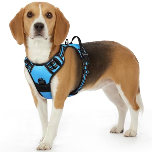 Dog Harness for Small Dogs (Small / Sky Blue)
