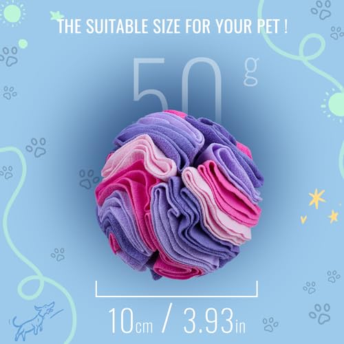 Pet Snuffle Ball (Pink and purple / 10cm)