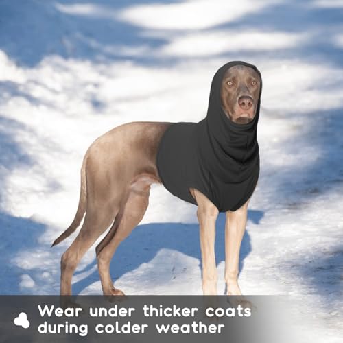 Dog Neck Cover (Darkgrey / M(Chest: 20.5"))