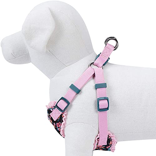 Soft & Comfy Made Well Elegant Floral No Pull Mesh Puppy Dog Harness Vest in Sleek Black ((14" - 16") Chest Girth (Pack of 1) / Sleek Black)