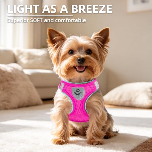 Dog Harness Collar and Leash Set No Pull for Small Medium Sized (Solid DeepPink / M (CHEST 16"-18"))