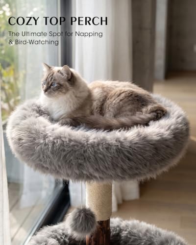 Solid Wood Cat Tree (Grey)