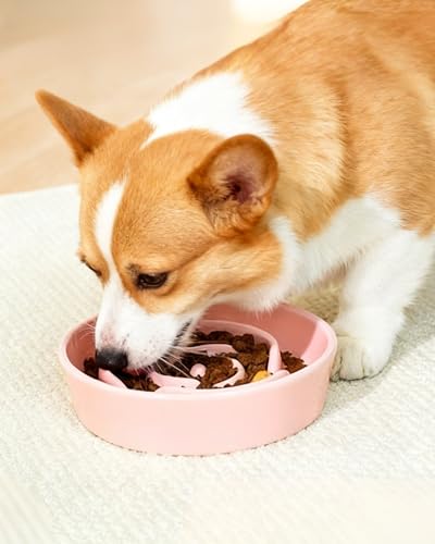 Ceramic Slow Feeder Dog Bowls (M-1.5 Cups / 02-Pink)