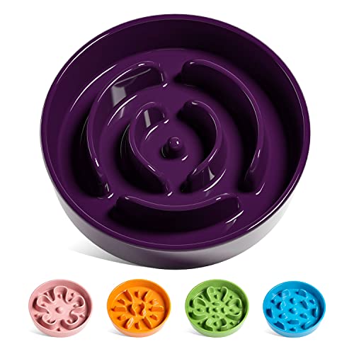 Dog Bowls Slow Feeder Ceramic (Maze Purple / M-1.5 Cups)