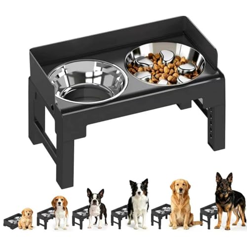 Elevated Dog Bowls with Stainless Steel Slow Feeder Bowl for Medium and Large Dogs (1 Stainless Slow Feeder & 1 Stainless Bowl / Black)