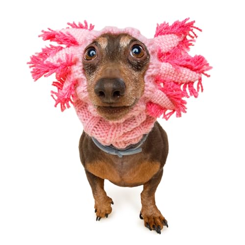 Axolotl Dog Costume (Axolotl / Small)