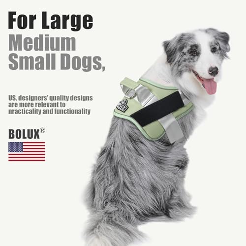 Dog Harness No (Small (Pack of 1) / CreamGreen)