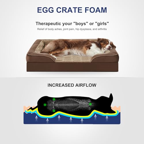 Orthopedic Medium Dog Bed (35.0''l x 25.0''w x 6.5''th / Brown)