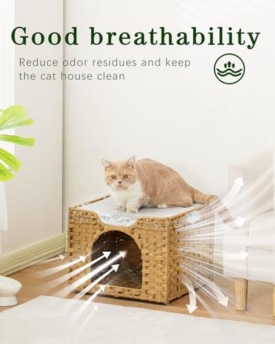 Cat Beds Indoor Kitten House (Natural / Rectangle-M)
