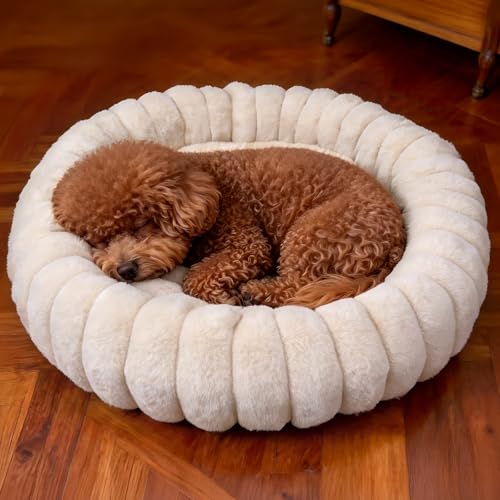 Donut Small Dog Bed Round Calming Kitten & Puppy Bed (White / XS(20*20*6))
